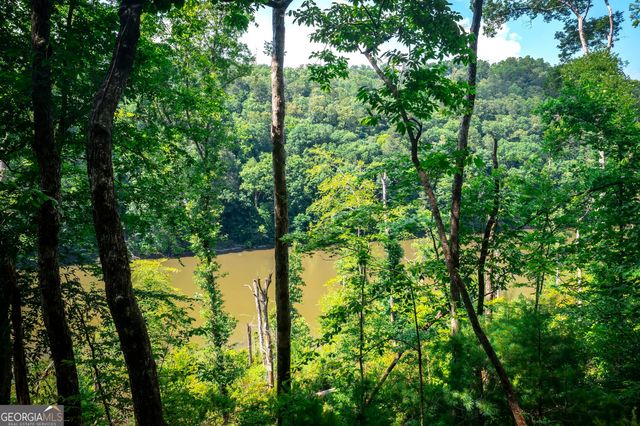 3.54AC Myna Drive, Ellijay, GA 30540
