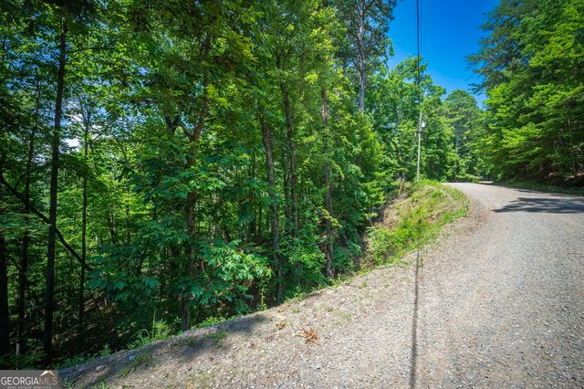 3.54AC Myna Drive, Ellijay, GA 30540