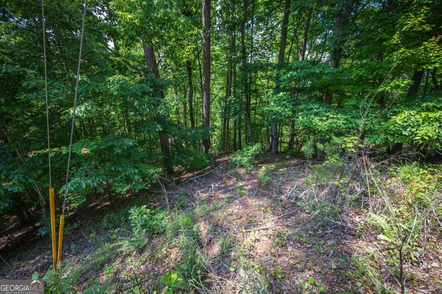 3.54AC Myna Drive, Ellijay, GA 30540