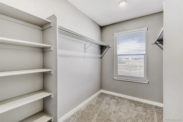 13935 Wild Lupine Street, Parker, CO 80134