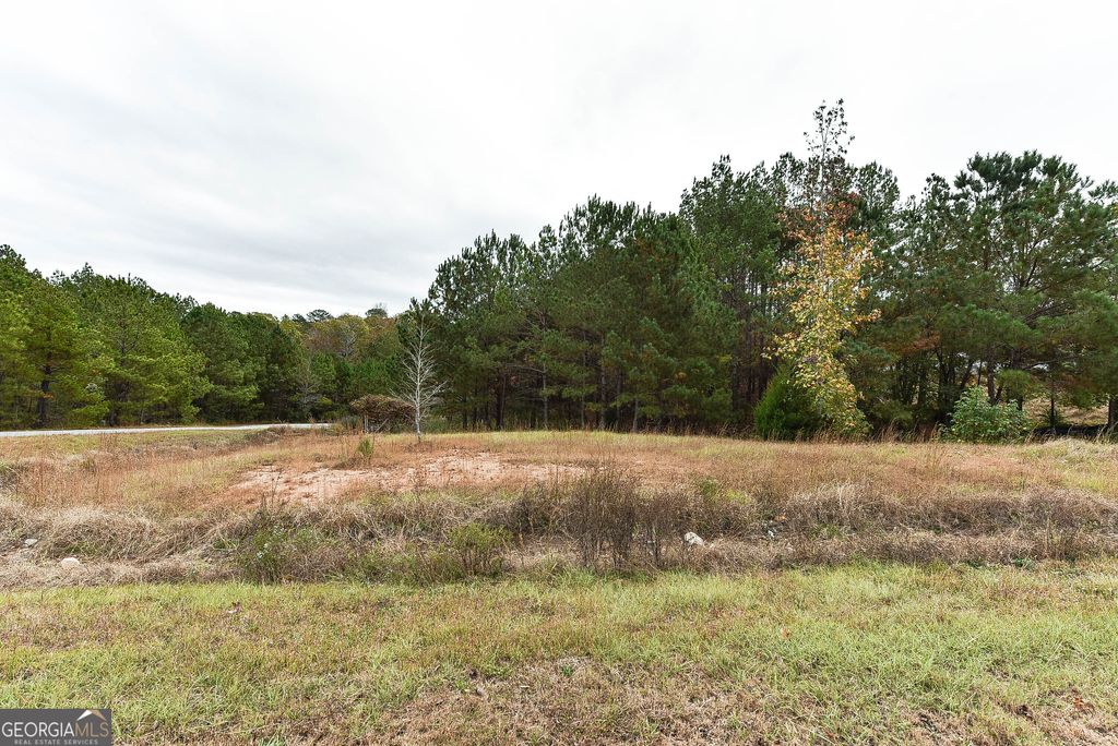 288 Lee Road 2128, Valley, AL 36854