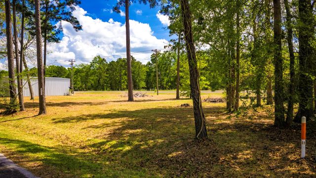 327 Palmetto Drive, Livingston, TX 77351