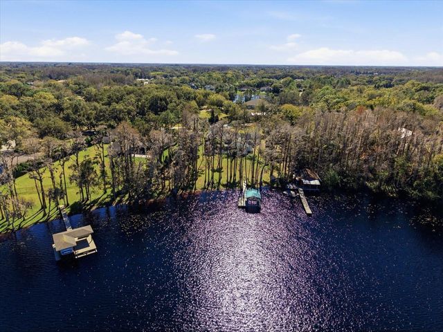 16320 ROCK LAKE DRIVE, Odessa, FL 33556