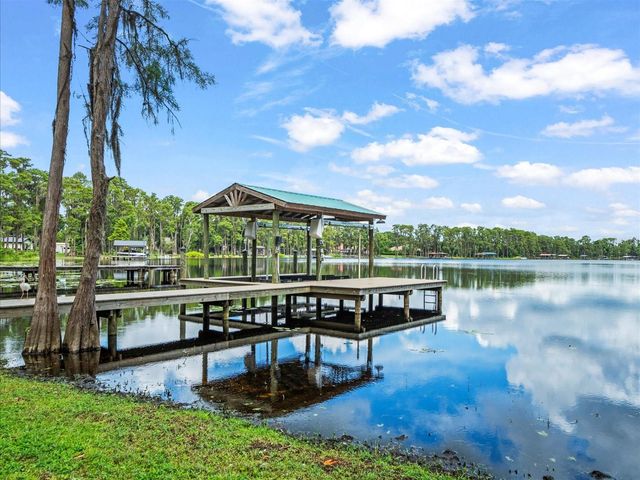 16320 ROCK LAKE DRIVE, Odessa, FL 33556