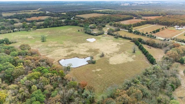 TBD FM 154, Cooper, TX 75432