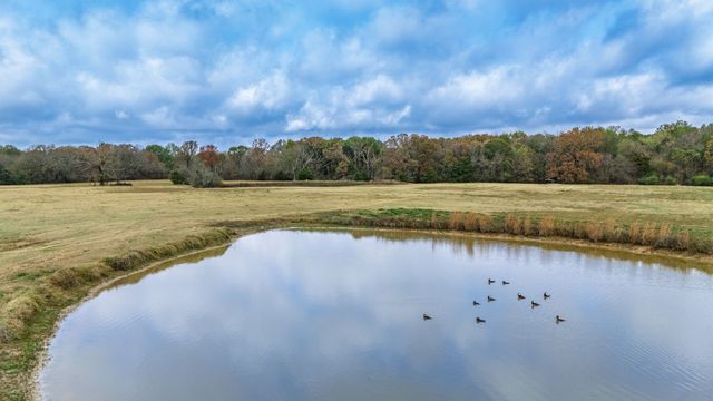 TBD FM 154, Cooper, TX 75432