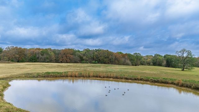 TBD FM 154, Cooper, TX 75432