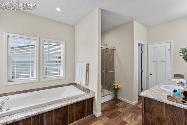 7647 Black Bear Point, Colorado Springs, CO 80922