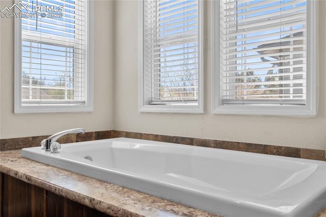 7647 Black Bear Point, Colorado Springs, CO 80922
