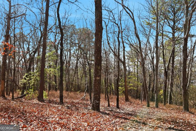 LOT 59 Mountain Sweet Drive, Clarkesville, GA 30523