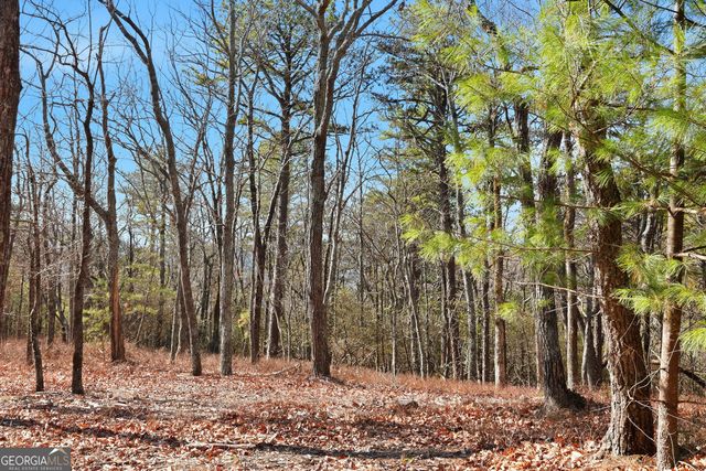 LOT 59 Mountain Sweet Drive, Clarkesville, GA 30523
