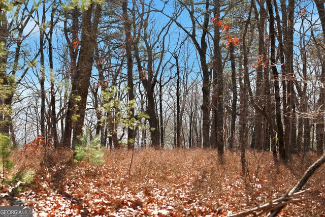 LOT 59 Mountain Sweet Drive, Clarkesville, GA 30523