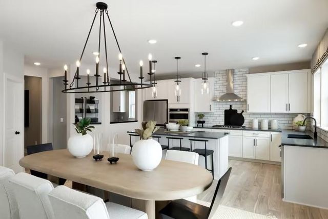 15136 Amber Fields Boulevard, Rosemount, MN 55068