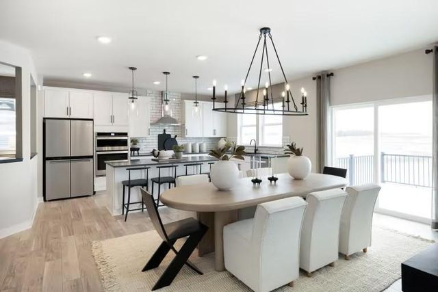 15136 Amber Fields Boulevard, Rosemount, MN 55068