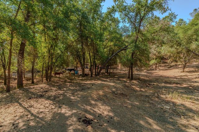 2988 Spring Hill Dr, San Andreas, CA 95249