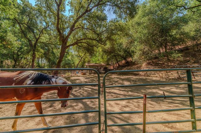 2988 Spring Hill Dr, San Andreas, CA 95249