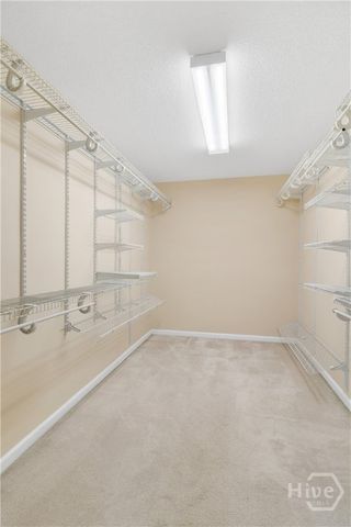 15 Egrets Way Lane, Richmond Hill, GA 31324