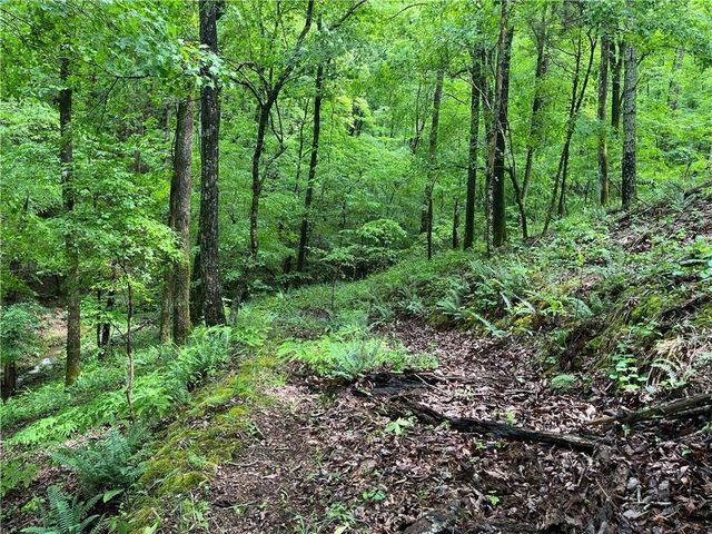 1720 Rebekah Ridge Road, Talking Rock, GA 30175