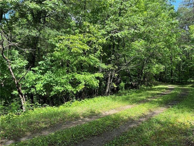 1720 Rebekah Ridge Road, Talking Rock, GA 30175