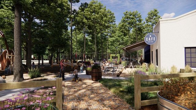 11421 Billy Bobs Street, Montgomery, TX 77316