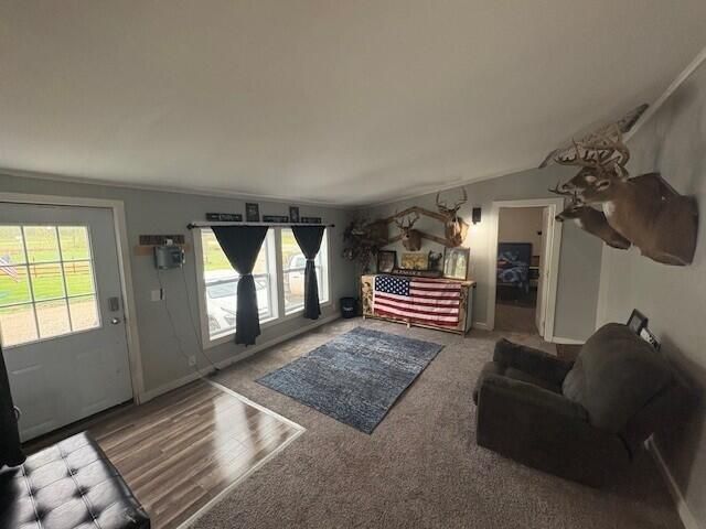 3775 16 Mile, Marion, MI 49665