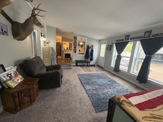3775 16 Mile, Marion, MI 49665