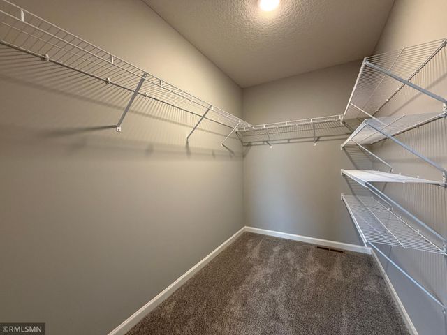 6113 Radford Avenue NE, Otsego, MN 55330