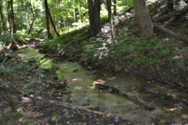 0 Pea Ridge Fire Tower Rd, Celina, TN 38551