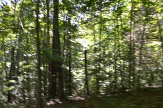 0 Pea Ridge Fire Tower Rd, Celina, TN 38551
