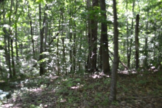0 Pea Ridge Fire Tower Rd, Celina, TN 38551
