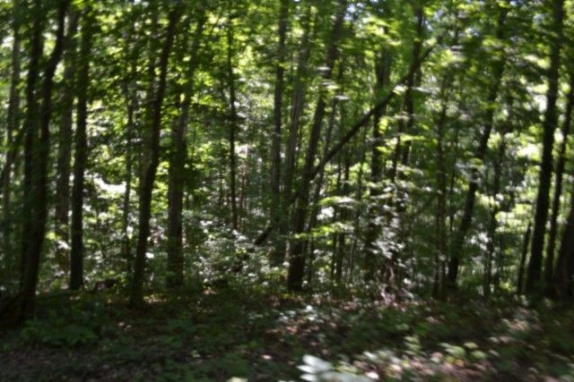 0 Pea Ridge Fire Tower Rd, Celina, TN 38551