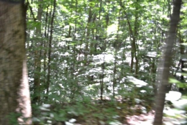 0 Pea Ridge Fire Tower Rd, Celina, TN 38551