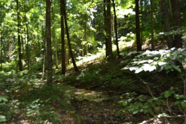 0 Pea Ridge Fire Tower Rd, Celina, TN 38551