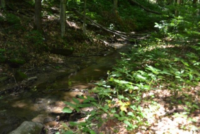 0 Pea Ridge Fire Tower Rd, Celina, TN 38551