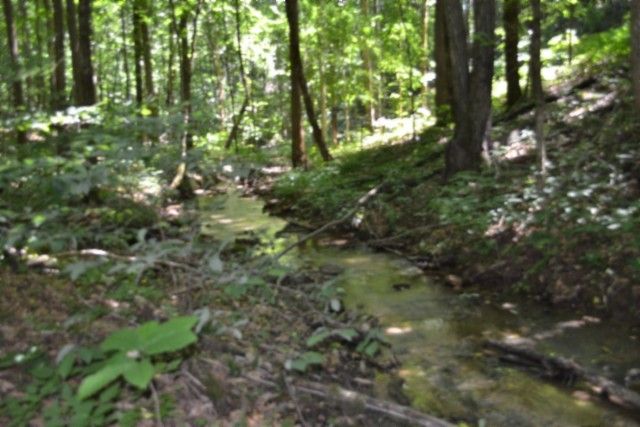 0 Pea Ridge Fire Tower Rd, Celina, TN 38551