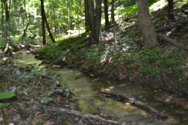 0 Pea Ridge Fire Tower Rd, Celina, TN 38551