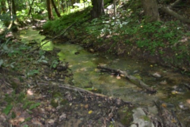 0 Pea Ridge Fire Tower Rd, Celina, TN 38551