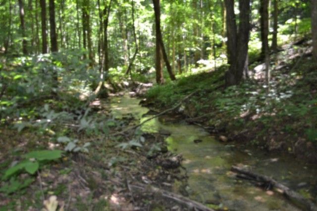 0 Pea Ridge Fire Tower Rd, Celina, TN 38551