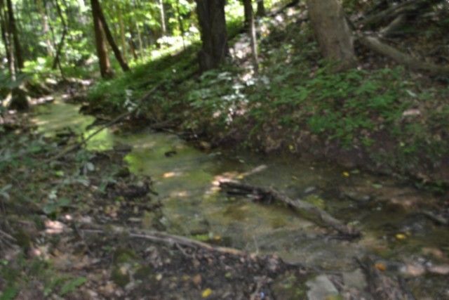 0 Pea Ridge Fire Tower Rd, Celina, TN 38551