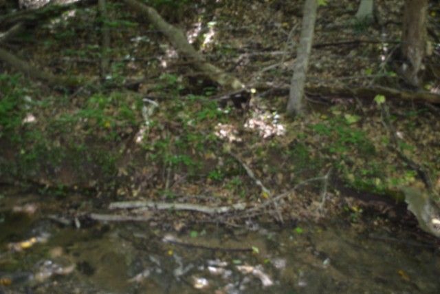 0 Pea Ridge Fire Tower Rd, Celina, TN 38551