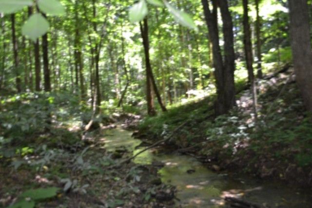 0 Pea Ridge Fire Tower Rd, Celina, TN 38551