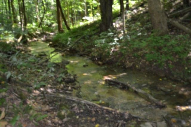 0 Pea Ridge Fire Tower Rd, Celina, TN 38551