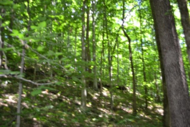0 Pea Ridge Fire Tower Rd, Celina, TN 38551
