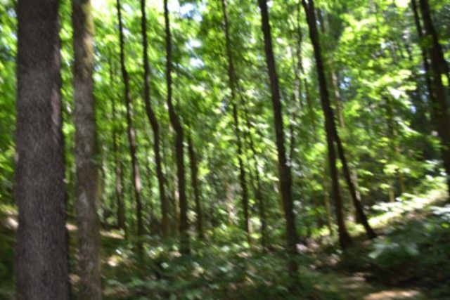0 Pea Ridge Fire Tower Rd, Celina, TN 38551