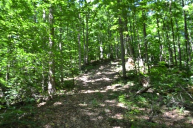 0 Pea Ridge Fire Tower Rd, Celina, TN 38551