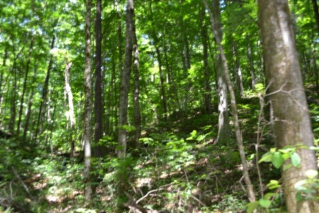 0 Pea Ridge Fire Tower Rd, Celina, TN 38551