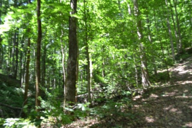 0 Pea Ridge Fire Tower Rd, Celina, TN 38551