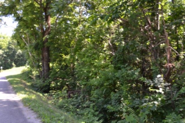 0 Pea Ridge Fire Tower Rd, Celina, TN 38551