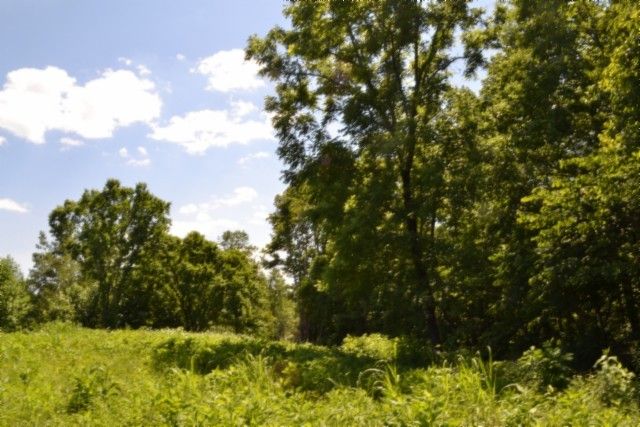 0 Pea Ridge Fire Tower Rd, Celina, TN 38551