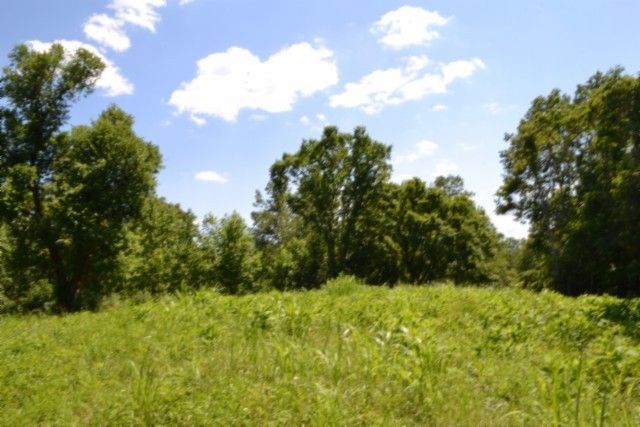 0 Pea Ridge Fire Tower Rd, Celina, TN 38551